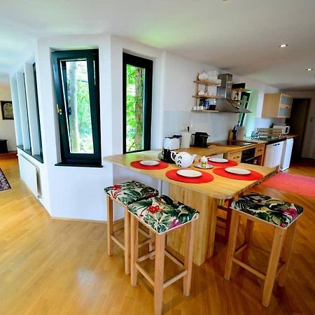 Green Haven Roofgarden Penthouse In Central Area Vienna Exterior photo